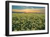 Carrizo II-Mark Geistweite-Framed Photographic Print