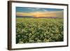 Carrizo II-Mark Geistweite-Framed Photographic Print