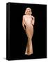 CARROLL BAKER (photo)-null-Framed Stretched Canvas