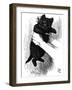 Carroll: Looking Glass-null-Framed Giclee Print