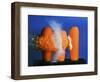 Carrot Catastrophe-Alan Sailer-Framed Photographic Print