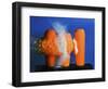 Carrot Catastrophe-Alan Sailer-Framed Photographic Print