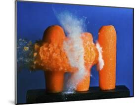 Carrot Catastrophe-Alan Sailer-Mounted Photographic Print
