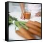 Carrot Juice-Cristina-Framed Stretched Canvas