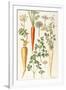 Carrot, Parsnip and Parsley-Elizabeth Rice-Framed Giclee Print