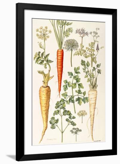 Carrot, Parsnip and Parsley-Elizabeth Rice-Framed Giclee Print