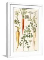 Carrot, Parsnip and Parsley-Elizabeth Rice-Framed Giclee Print