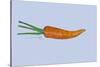 Carrot-Sarah Thompson-Engels-Stretched Canvas