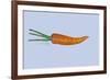Carrot-Sarah Thompson-Engels-Framed Giclee Print