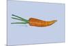 Carrot-Sarah Thompson-Engels-Mounted Giclee Print