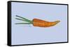 Carrot-Sarah Thompson-Engels-Framed Stretched Canvas