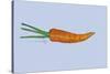 Carrot-Sarah Thompson-Engels-Stretched Canvas