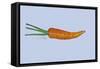 Carrot-Sarah Thompson-Engels-Framed Stretched Canvas