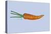 Carrot-Sarah Thompson-Engels-Stretched Canvas