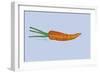 Carrot-Sarah Thompson-Engels-Framed Giclee Print