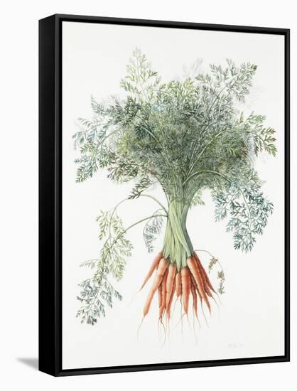 Carrots, 1995-Margaret Ann Eden-Framed Stretched Canvas