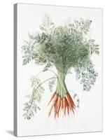 Carrots, 1995-Margaret Ann Eden-Stretched Canvas