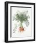 Carrots, 1995-Margaret Ann Eden-Framed Giclee Print