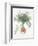 Carrots, 1995-Margaret Ann Eden-Framed Giclee Print