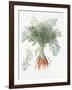 Carrots, 1995-Margaret Ann Eden-Framed Giclee Print
