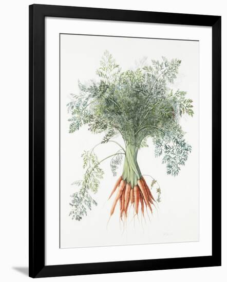 Carrots, 1995-Margaret Ann Eden-Framed Giclee Print