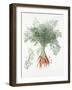 Carrots, 1995-Margaret Ann Eden-Framed Giclee Print