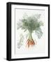 Carrots, 1995-Margaret Ann Eden-Framed Giclee Print