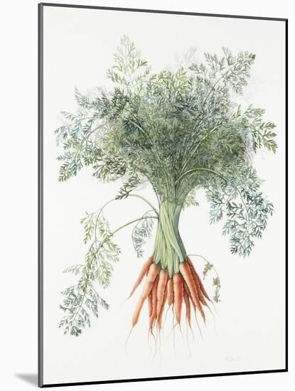 Carrots, 1995-Margaret Ann Eden-Mounted Giclee Print