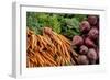 Carrots and beets, USA-Jim Engelbrecht-Framed Photographic Print