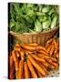 Carrots and Greens, Ferry Building Farmer's Market, San Francisco, California, USA-Inger Hogstrom-Stretched Canvas