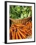 Carrots and Greens, Ferry Building Farmer's Market, San Francisco, California, USA-Inger Hogstrom-Framed Photographic Print