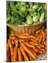 Carrots and Greens, Ferry Building Farmer's Market, San Francisco, California, USA-Inger Hogstrom-Mounted Photographic Print