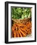 Carrots and Greens, Ferry Building Farmer's Market, San Francisco, California, USA-Inger Hogstrom-Framed Photographic Print