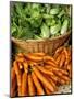 Carrots and Greens, Ferry Building Farmer's Market, San Francisco, California, USA-Inger Hogstrom-Mounted Photographic Print