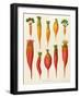 Carrots and Turnips: from the "Album Benary" Tab. XIV-G. Severeyns-Framed Giclee Print