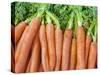 Carrots for Sale at Sunday Morning Market, Pollenca, Tramuntana, Mallorca, Balearic Islands, Spain-Andrew Stewart-Stretched Canvas