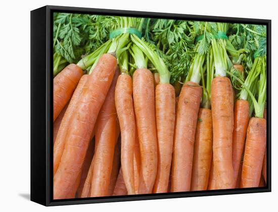 Carrots for Sale at Sunday Morning Market, Pollenca, Tramuntana, Mallorca, Balearic Islands, Spain-Andrew Stewart-Framed Stretched Canvas