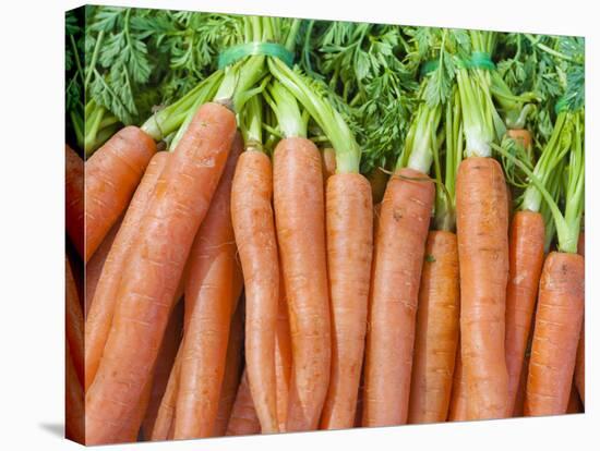 Carrots for Sale at Sunday Morning Market, Pollenca, Tramuntana, Mallorca, Balearic Islands, Spain-Andrew Stewart-Stretched Canvas