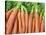 Carrots for Sale at Sunday Morning Market, Pollenca, Tramuntana, Mallorca, Balearic Islands, Spain-Andrew Stewart-Stretched Canvas