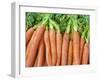 Carrots for Sale at Sunday Morning Market, Pollenca, Tramuntana, Mallorca, Balearic Islands, Spain-Andrew Stewart-Framed Photographic Print