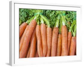 Carrots for Sale at Sunday Morning Market, Pollenca, Tramuntana, Mallorca, Balearic Islands, Spain-Andrew Stewart-Framed Photographic Print