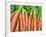 Carrots for Sale at Sunday Morning Market, Pollenca, Tramuntana, Mallorca, Balearic Islands, Spain-Andrew Stewart-Framed Photographic Print