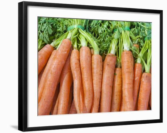 Carrots for Sale at Sunday Morning Market, Pollenca, Tramuntana, Mallorca, Balearic Islands, Spain-Andrew Stewart-Framed Photographic Print