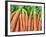 Carrots for Sale at Sunday Morning Market, Pollenca, Tramuntana, Mallorca, Balearic Islands, Spain-Andrew Stewart-Framed Photographic Print