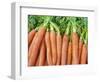 Carrots for Sale at Sunday Morning Market, Pollenca, Tramuntana, Mallorca, Balearic Islands, Spain-Andrew Stewart-Framed Photographic Print