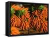 Carrots, Metkovic, Dalmatia, Croatia-Russell Young-Framed Stretched Canvas