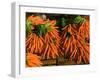 Carrots, Metkovic, Dalmatia, Croatia-Russell Young-Framed Photographic Print