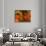 Carrots, Metkovic, Dalmatia, Croatia-Russell Young-Photographic Print displayed on a wall