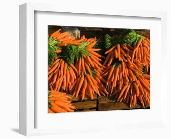 Carrots, Metkovic, Dalmatia, Croatia-Russell Young-Framed Photographic Print