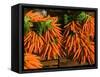 Carrots, Metkovic, Dalmatia, Croatia-Russell Young-Framed Stretched Canvas